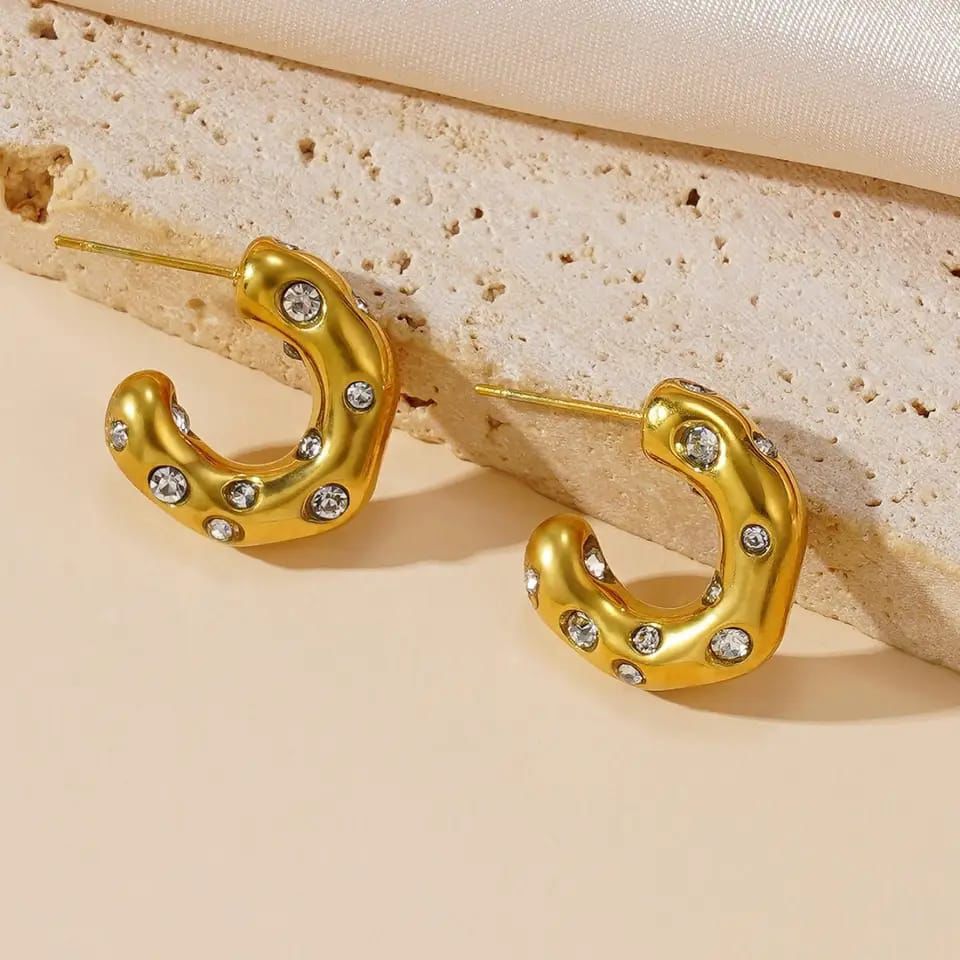 Zirconia decor earrings